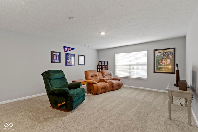 sitting room featuring carpet flooring and a textured ceiling