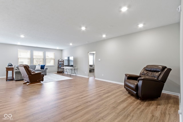 living area featuring light hardwood / wood-style floors