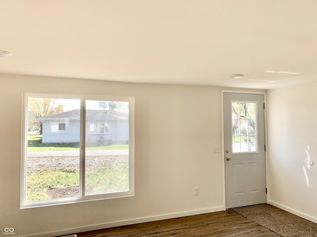 entrance foyer with a wealth of natural light and hardwood / wood-style flooring