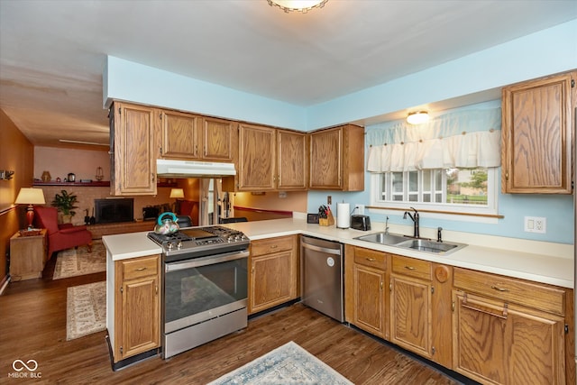 kitchen featuring kitchen peninsula, stainless steel appliances, dark hardwood / wood-style floors, and sink