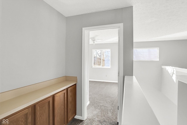 hallway with carpet floors, a textured ceiling, and a wealth of natural light