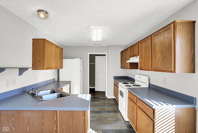 kitchen featuring a textured ceiling, white appliances, dark wood-type flooring, and sink