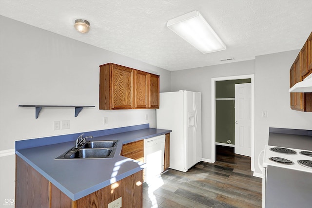 kitchen featuring a textured ceiling, white appliances, ventilation hood, dark wood-type flooring, and sink