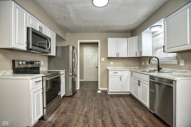 kitchen with white cabinets, dark hardwood / wood-style flooring, and stainless steel appliances