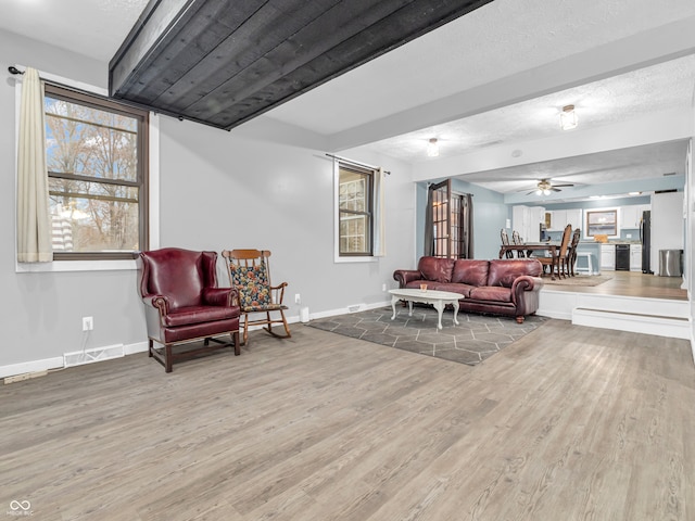 living room with ceiling fan and hardwood / wood-style flooring