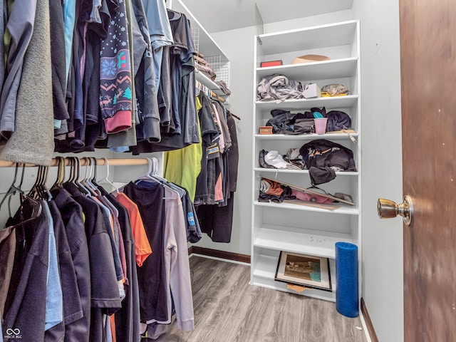 walk in closet featuring hardwood / wood-style flooring