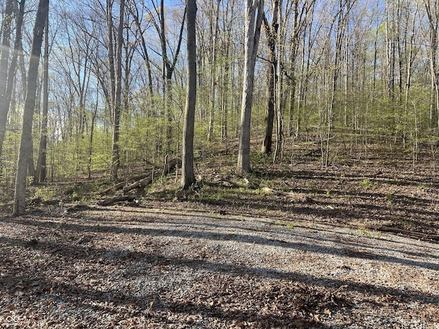 X State Road 46, Nashville, IN 47448 - photo 14