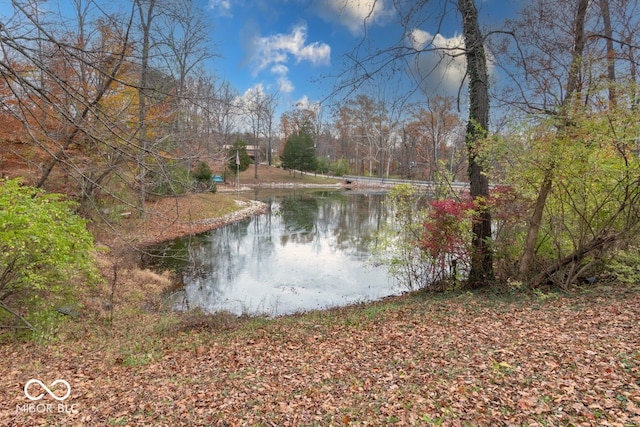 water view