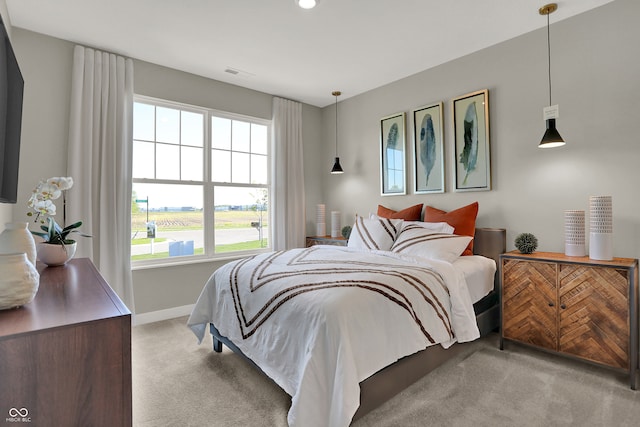 view of carpeted bedroom