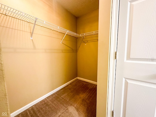 walk in closet featuring carpet flooring