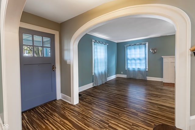 foyer with plenty of natural light and dark wood-type flooring