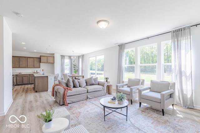 living room with sink, a healthy amount of sunlight, and light hardwood / wood-style flooring