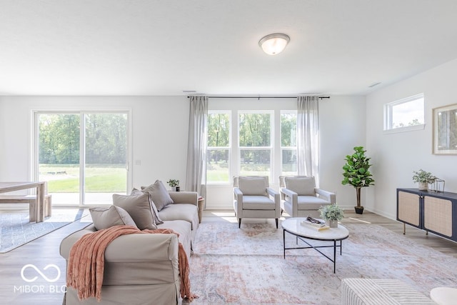 living room with hardwood / wood-style floors and plenty of natural light