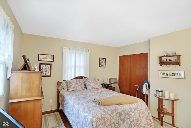 bedroom featuring multiple windows, a closet, and hardwood / wood-style floors