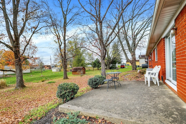 view of yard with a patio and a storage shed