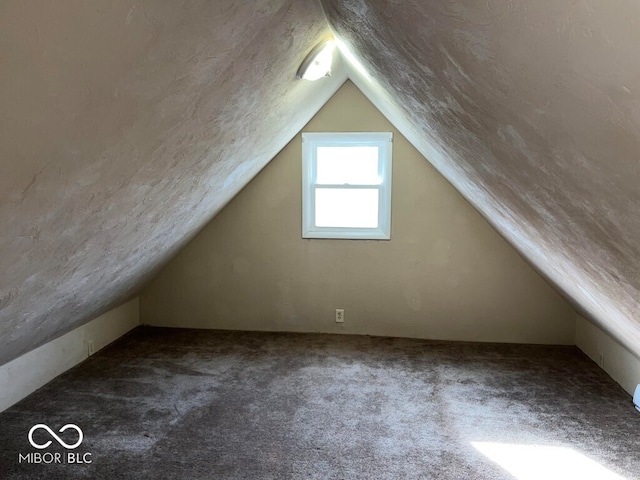 additional living space with vaulted ceiling and carpet flooring