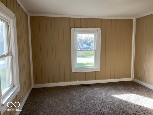 spare room with carpet floors and wooden walls