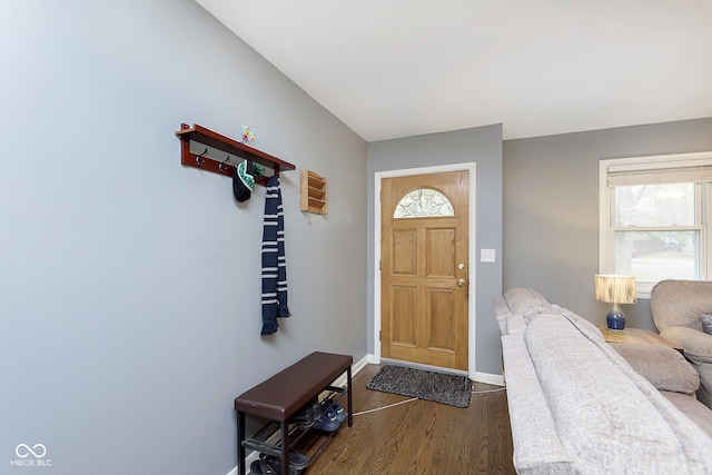 foyer entrance featuring dark hardwood / wood-style floors