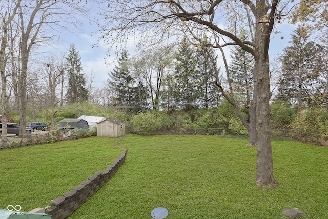 view of yard with a storage shed