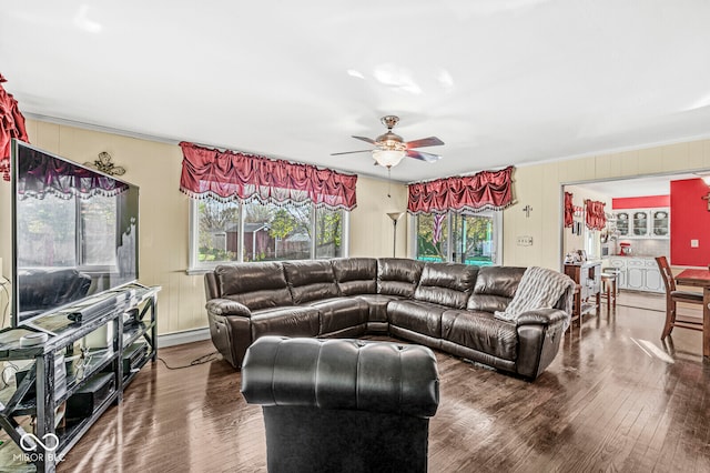 living room featuring ceiling fan, crown molding, and dark hardwood / wood-style floors