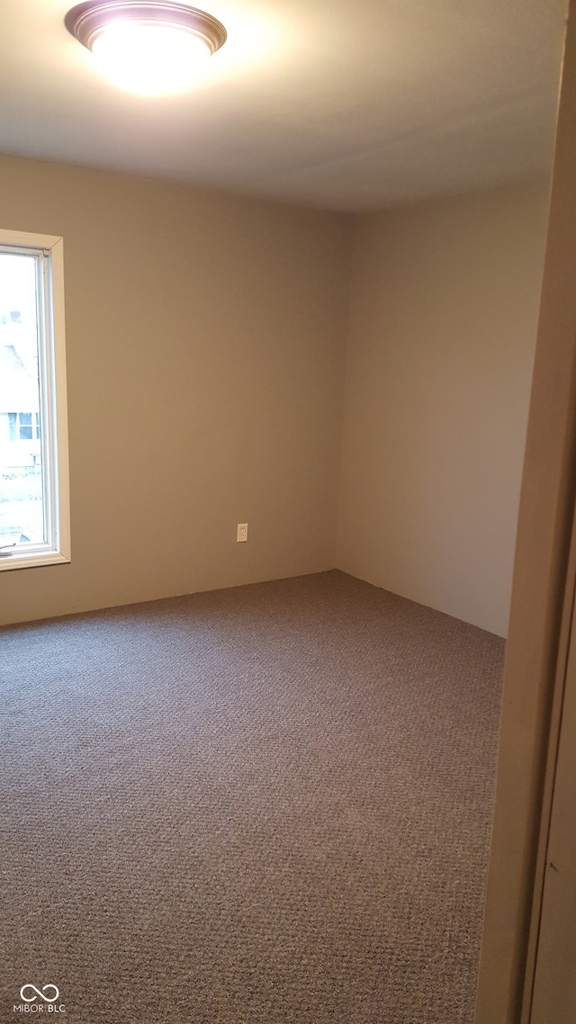 unfurnished room with carpet floors