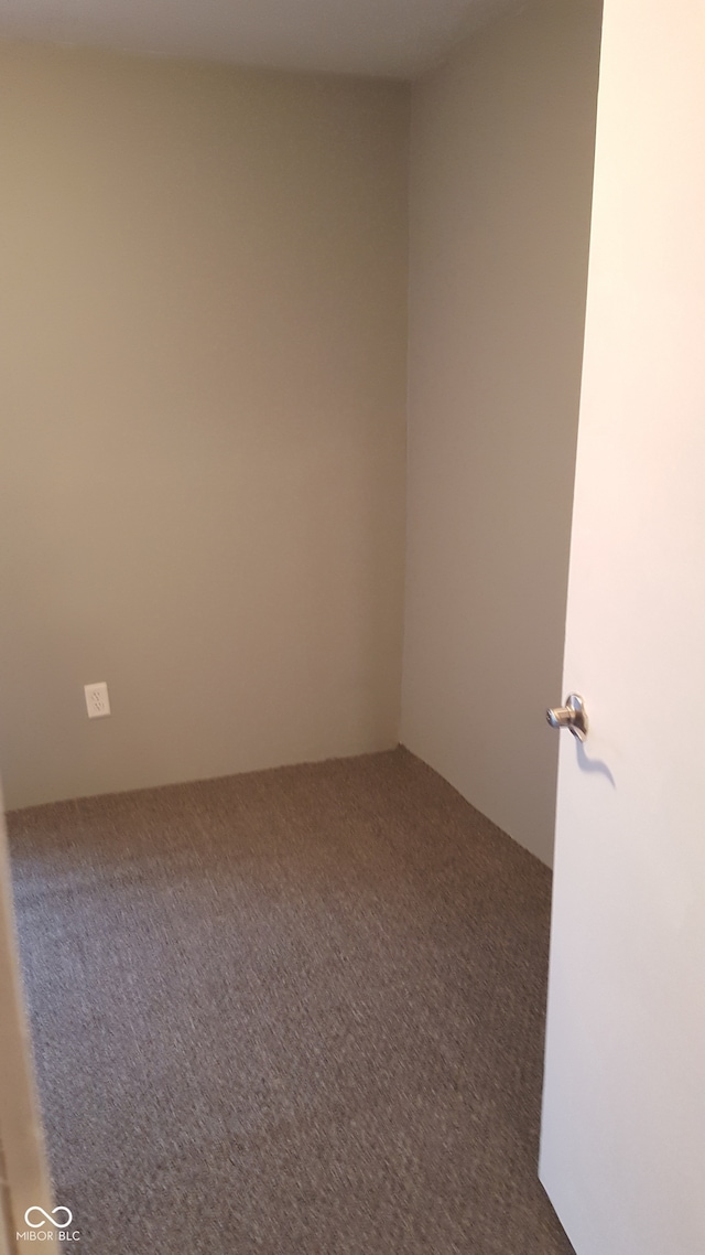 empty room featuring carpet floors