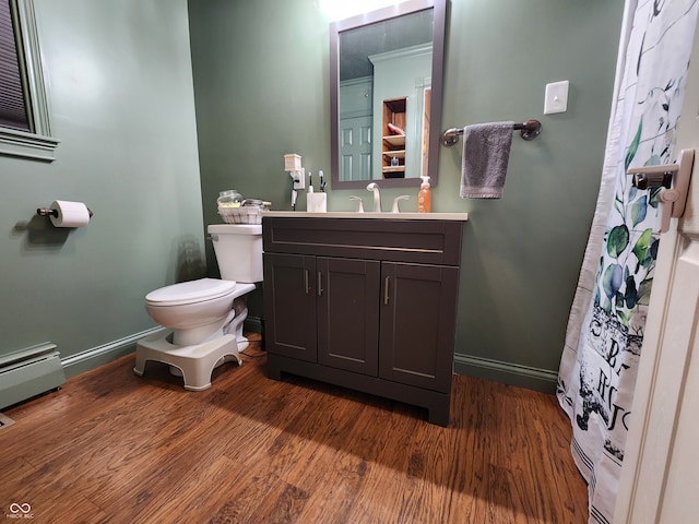 bathroom featuring toilet, vanity, and hardwood / wood-style floors