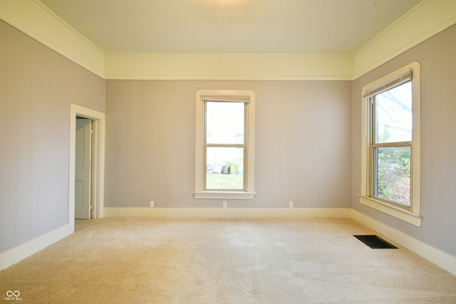 empty room featuring crown molding and carpet floors