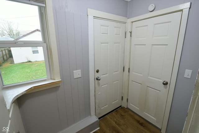 doorway to outside featuring dark hardwood / wood-style floors and wood walls