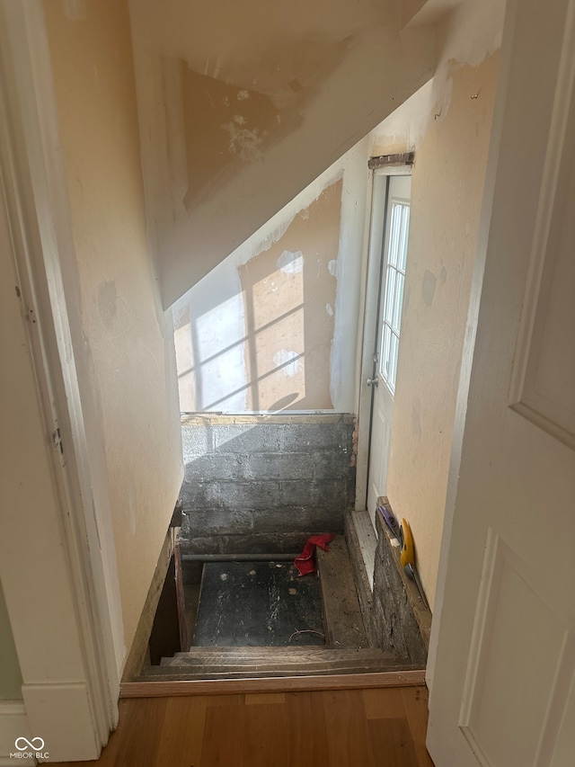 staircase featuring hardwood / wood-style flooring