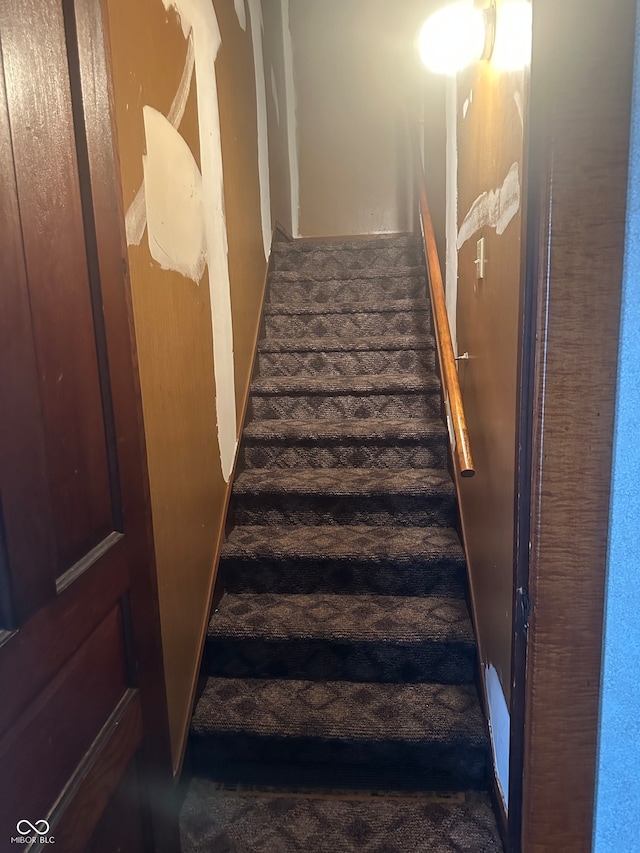 staircase featuring carpet flooring