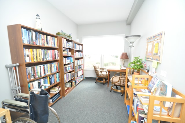 home office with carpet floors