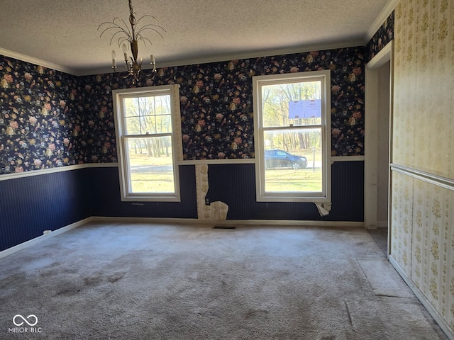 unfurnished dining area featuring a healthy amount of sunlight, carpet floors, and a textured ceiling