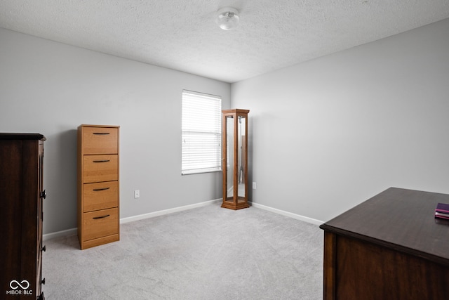 interior space featuring a textured ceiling and light colored carpet