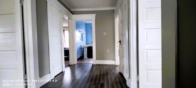 hallway with crown molding and dark wood-type flooring