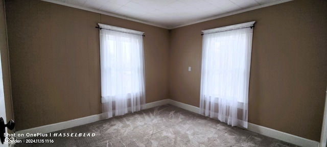 spare room with carpet and ornamental molding