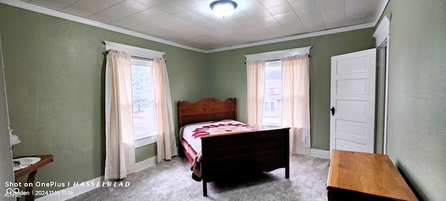 carpeted bedroom with multiple windows and crown molding