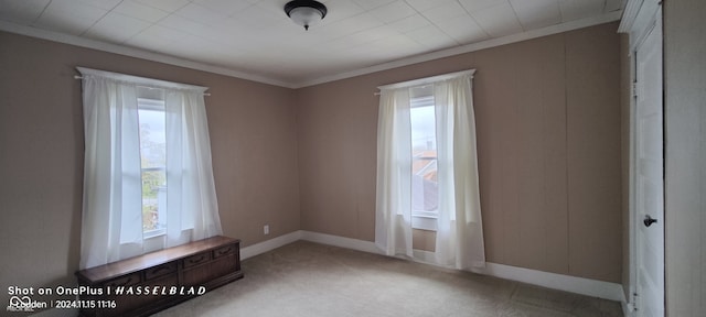 carpeted spare room with a healthy amount of sunlight and ornamental molding