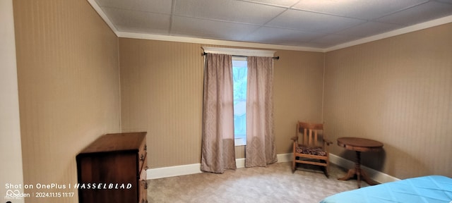 bedroom with a paneled ceiling, crown molding, and carpet