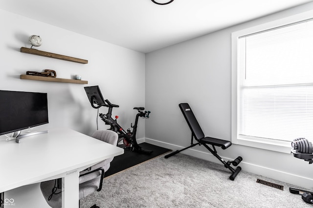 carpeted office featuring a wealth of natural light