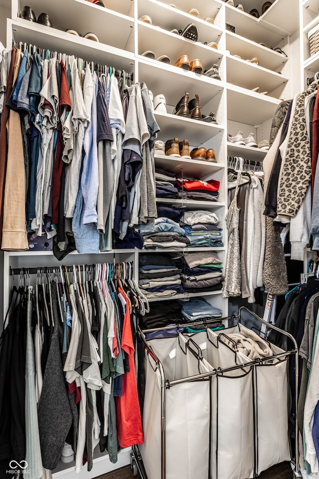 view of spacious closet