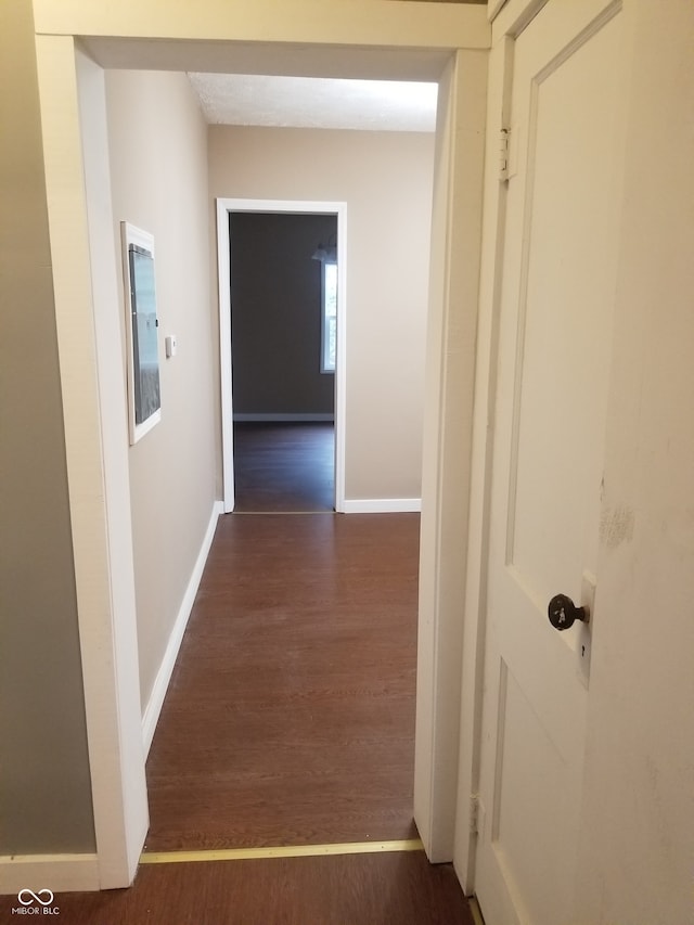 hallway featuring dark hardwood / wood-style floors