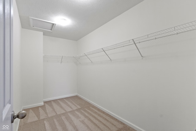 walk in closet featuring light carpet