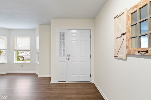 entrance foyer with dark wood-type flooring