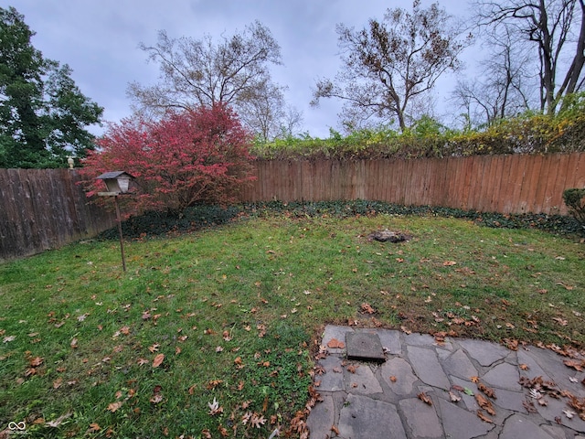 705 W 6th St, Seymour, IN 47274 - view of yard