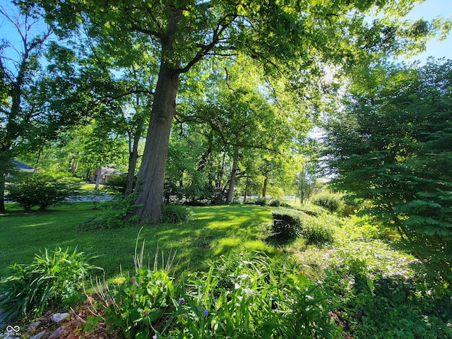 705 W 6th St, Seymour, IN 47274 - view of grassy yard