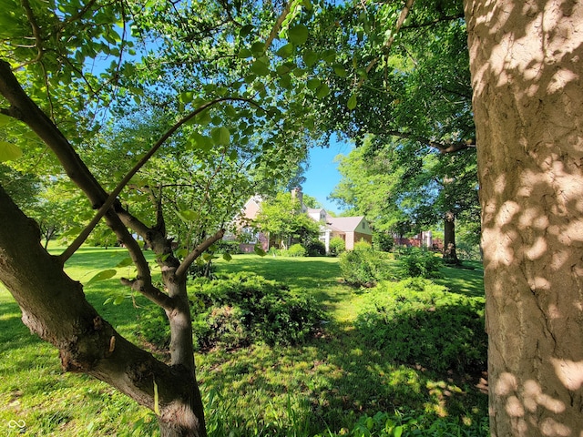 705 W 6th St, Seymour, IN 47274 - view of grassy yard