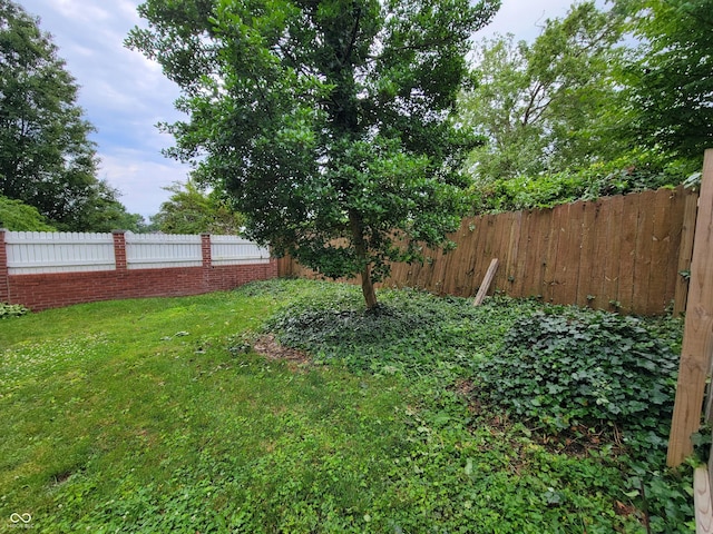 705 W 6th St, Seymour, IN 47274 - view of yard