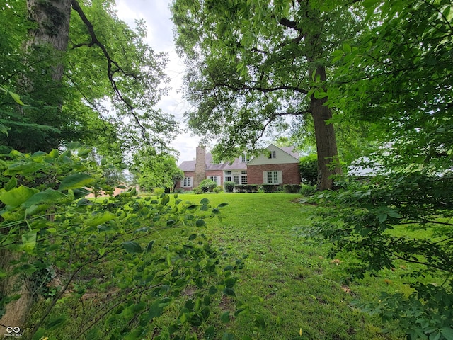 705 W 6th St, Seymour, IN 47274 - view of yard