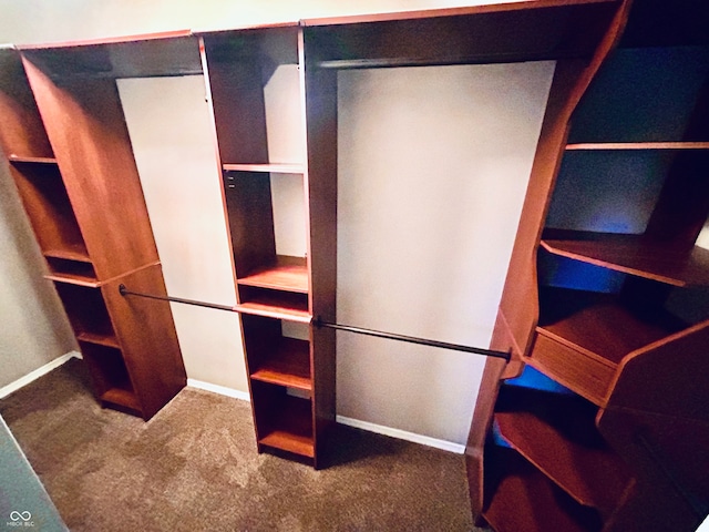 spacious closet with carpet flooring